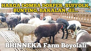 HARGA DOMBA DORPER, SUFFOLK, TEXEL, LOKAL, dll. di BHINNEKA Farm Boyolali