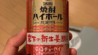 宝　焼酎ハイボール　岩下の新生姜割り