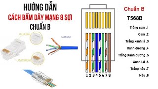 Hướng Dẫn Cách Bấm Dây Mạng Chuẩn B Phổ Biến Nhất