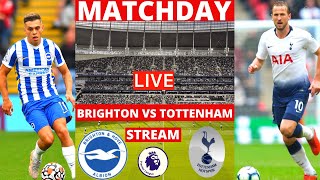 Brighton vs Tottenham Live Stream Premier League EPL Football Match Today 2022 Commentary Score Vivo