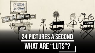 What are LUTs? - 24 Pictures A Second