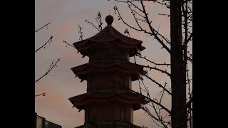 A Pleasant Evening In Chinatown