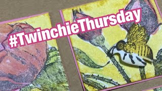 Twinchie Ideas - #twinchiethursday