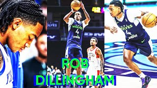 Rob Dillingham NBA highlights so far !