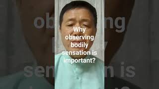 [Sub] Why Observing bodily sensation (Vedana) is important? #ScientificVipassana #MeditationArts