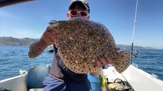 Live UK Boat Fishing - Hunting Down Turbot!!!