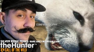 Silver Ridge Peaks - Rare Grey Mountain Lion | theHunter: Call of the Wild