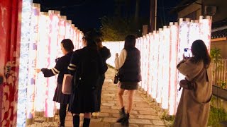 2024年11月13日(水) 夜の京都嵐山🌉 Kyoto Arashiyama in the evening