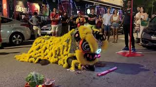 2020 CNY Lion Dance Caiqing Performance @ Lifestyle Cafe Bar