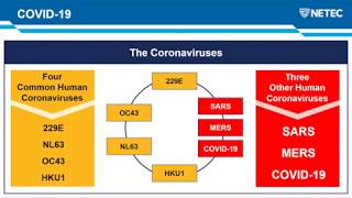 What Health Care Providers Need to Know About 2019-Novel Coronavirus