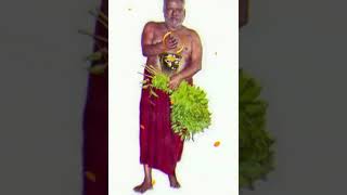 அன்னையின் அருள்வாக்கு