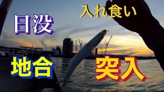 【御前崎】地合突入 入れ食い サバの次は 爆釣 高活性 魚影濃い Part2 #御前崎 #御前崎市 #遠州灘 #入れ食い #1091 #サバ #サバ釣り #サバゲー