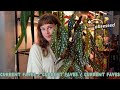 top 12 current favourite plants 🌿 FALL 2024 🌿 begonias, epipremnum, syngonium, + more!