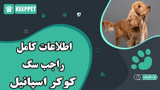 اطلاعات کامل راجب سگ کوکر اسپانیل