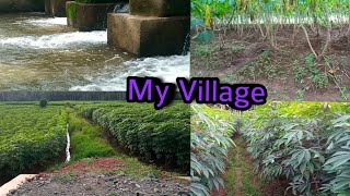 Natural beauty of my village // vlog // by ali paleri എന്റെ ഗ്രാമത്തിലെ കാഴ്ചകൾ