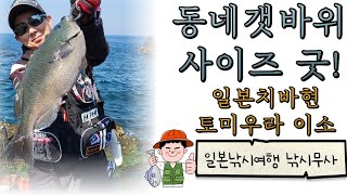 [한일부부]동네갯바위에서 좋은사이즈 벵에돔 만났습니다~