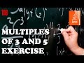 JAVA Programming exercises - Multiples of 3 and 5