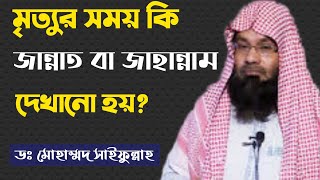 মৃত্যুর সময় কি জান্নাত বা জাহান্নাম দেখানো হয়? | Bangla islami show | HM JOHIR89