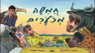 שיר חנוכד רשף