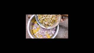 Vazhai Poo Vadai Recipe in Tamil😋Banana Flower Vadai With Avalum Nanum(She And Me)🤩வாழைப் பூ வடை👌🏻