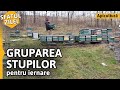 GRUPAREA STUPILOR PENTRU IERNARE [Sfatul zilei]