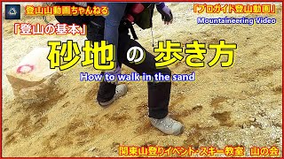 「プロガイド監修考案・登山動画」「え？むずっ！深い砂地の登下降・歩行技術ー登山技術の講習の模様ですー深い砂地を後退りせずに登る方法や滑らずに高速で降りる方法もありー南アルプスー鳳凰山地蔵ヶ岳(地蔵岳」