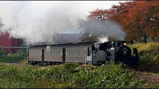 飯山市の田園を走る哀愁漂うSL蒸気機関車C11・4K撮影