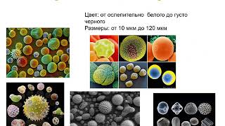 Технология пыльцевого анализа
