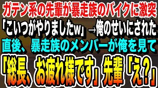 【感動する話】ガテン系の陽キャの先輩が暴走族のバイクに追突「こいつがやりましたw」→後輩の俺のせいにすると、暴走族が俺を見た瞬間「総長、お疲れ様です！」実は…【いい話泣ける話朗読】