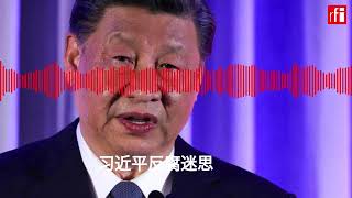 习近平反腐迷思