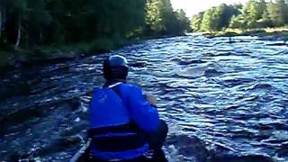 Kanootin upotus koiteliin. Canoe sinks in Kiiminkijoki