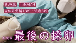 【不妊治療】ついに最後の採卵・運命を決める14回目＠低AMH/39歳・体外受精13回・流産3回