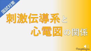 心電図道場　看護師国試対策講座①「刺激伝導系」