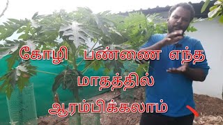 கோழி பண்ணை ஆரம்பிக்க வருடத்தில் எந்த மாதம் சிறந்தது?? | TFO Farm channel