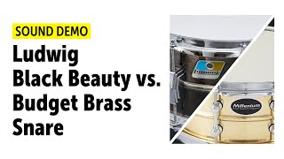 Budget Brass Snare (169€) vs. Ludwig (957€) Black Beauty Snare - Who wins?