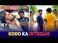 Kodo Ka Inteqam 😂 | 14 August Special