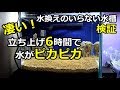 たった6時間で水が！水換えのいらない水槽立ち上げ