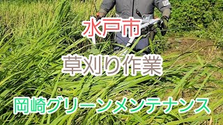 水戸市　草刈り　空き地草刈り　草刈り業者　除草　雑木伐採　岡崎グリーンメンテナンス　