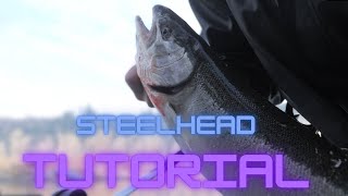 Winter Steelhead Anchor Fishing Tutorial | Bonus Steelhead |