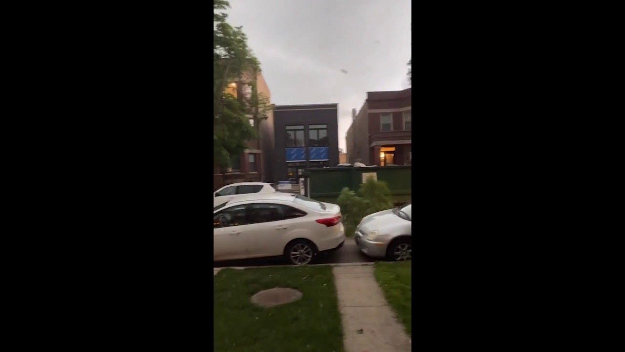 Tornado-Warned Storm Brings Down Tree Branches In Chicago - YouTube