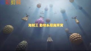 海賊王 - 動物系惡魔果實