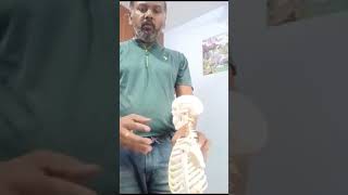 தோள்பட்டை வலி | உடற்பயிற்சி மட்டும் தான் தீர்வு | கழுத்து வலி | #frozenshoulder #shoulderpain