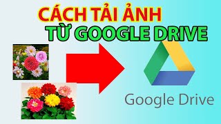 Cách Tải Ảnh Từ Google Drive | Cách Tải Ảnh Từ Link Google Drive