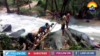 The bridge which was destroyed due to heavy rain | ಭಾರೀ ಮಳೆಗೆ ಕುಸಿದು ಬಿತ್ತು ಕಬ್ಬಿನಾಲೆ ಮತ್ತಾವು ಸೇತುವೆ