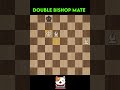 Double Bishop Checkmate | Chess ♟️ Tactics |