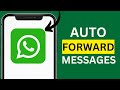 How To Auto Forward WhatsApp Messages