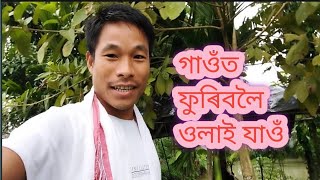 গাওঁত ফুৰিবলৈ ওলাই যাওঁ#krishna sadiya