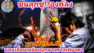 ขนลุกซู่! องค์ลงเลื้ยงเหมือนงูกลางศาลเพียงตา  งวด16ธ.ค.67 | รัชนี ชาแนล