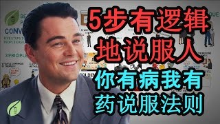 【好葉】5步有邏輯地說服人 - 5分鐘教你怎樣說服人 - 動畫講解