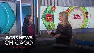Tips on how to adjust to daylight saving time